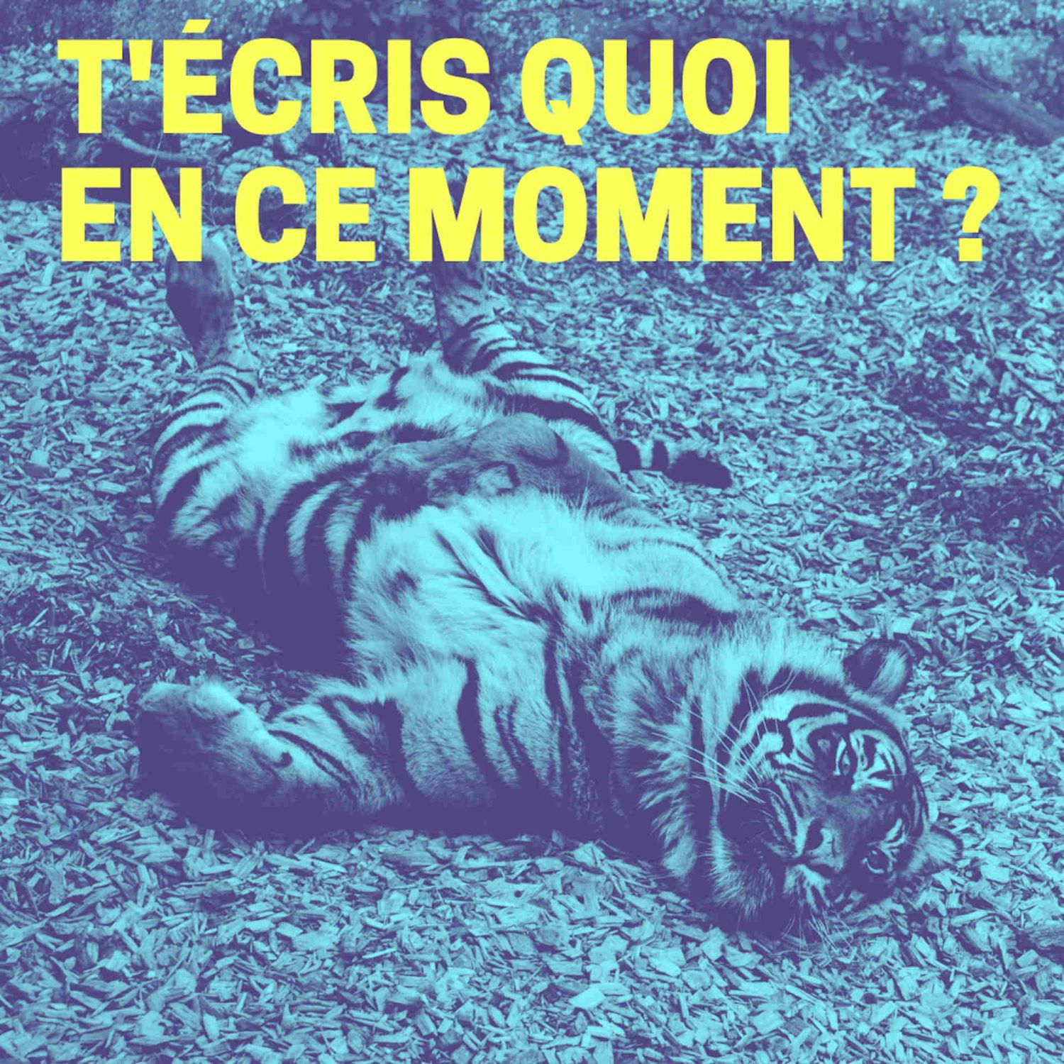 T’écris quoi en ce moment?