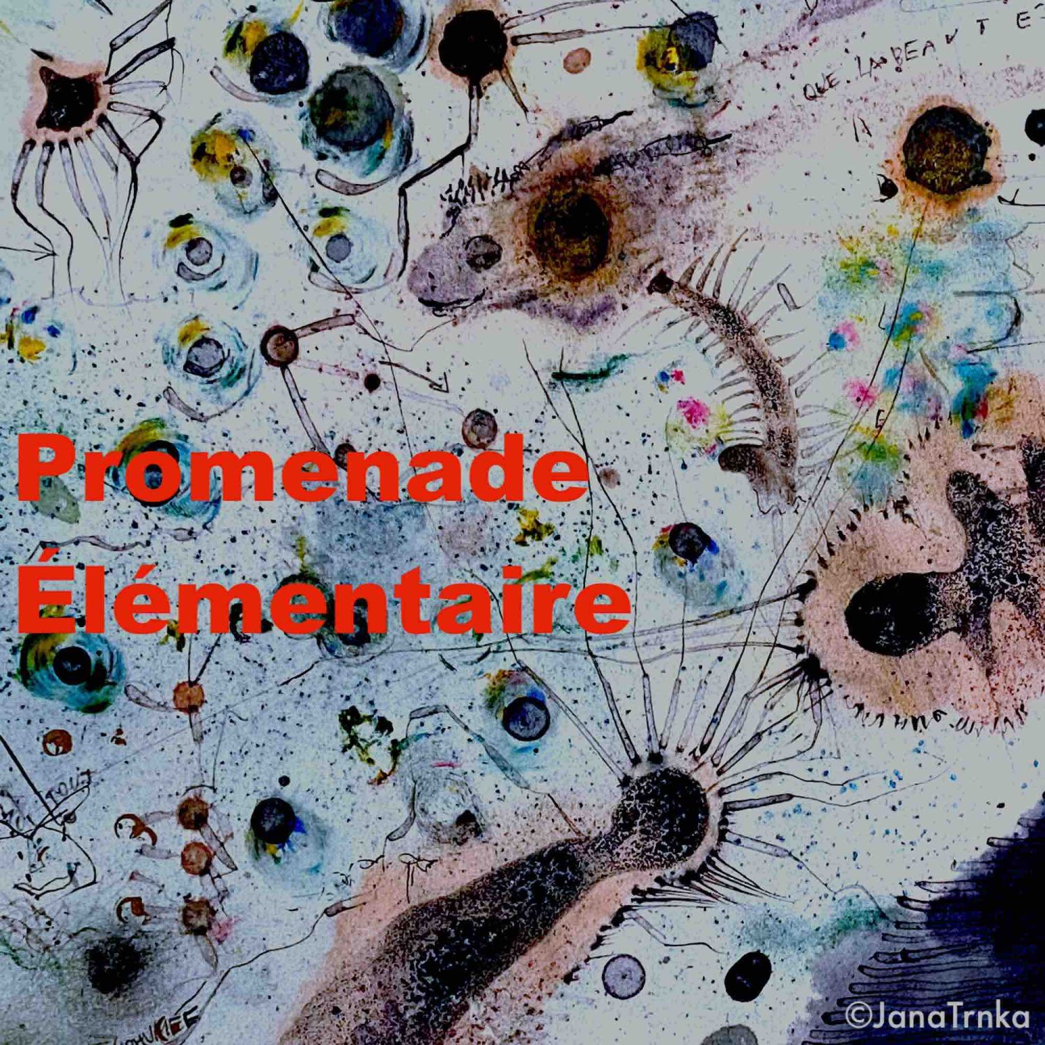 Promenade Élémentaire podcast artwork